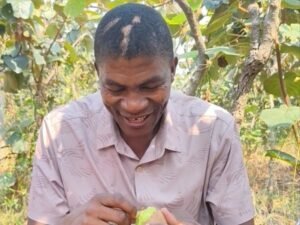 International buyer tasting fresh kiwifruit from Zhouzhi