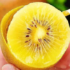 Sunshine Gold Kiwifruit (Yellow Flesh)