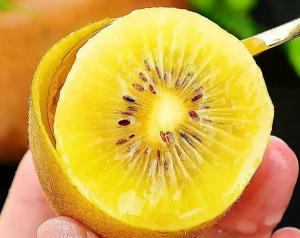 Sunshine Gold Kiwifruit (Yellow Flesh)