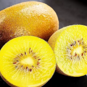 Sunshine Gold Kiwifruit