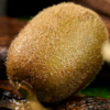 cuixiang kiwi 1 Cuixiang Kiwifruit(Green Flesh)