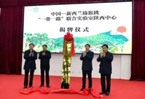 Unveiling ceremony of the China-New Zealand Kiwifruit Belt and Road Joint Laboratory Shaanxi Centre in Zhouzhi County, February 2023