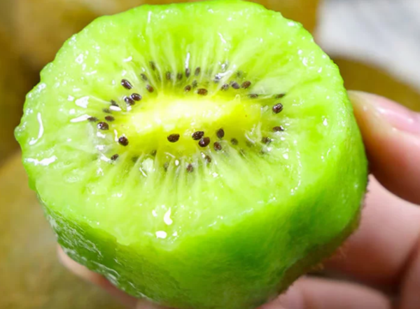 xuxiang kiwi 2 Xuxiang Kiwifruit(Green Flesh)